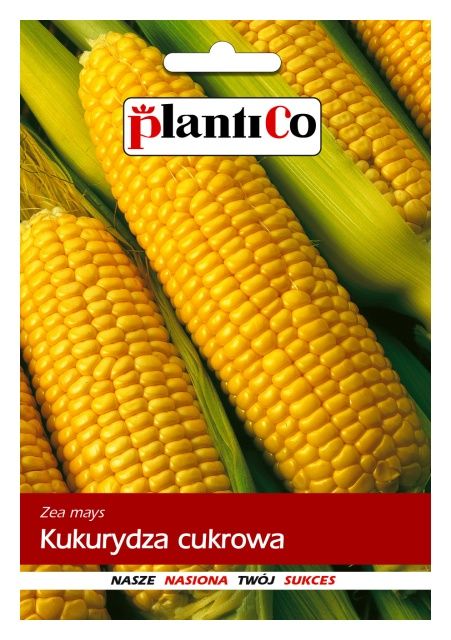 Kukurydza cukrowa 10g PlantiCo