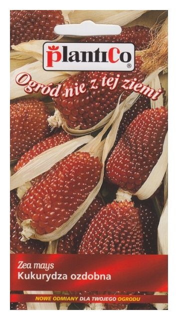 Kukurydza ozdobna TRUSKAWKOWA 2g PlantiCo
