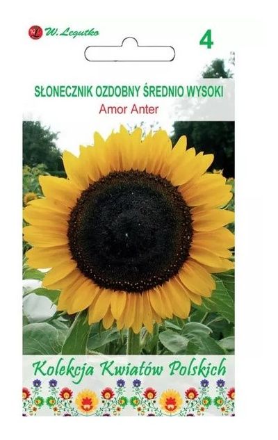 Kwiaty Polskie - Słonecznik ozdobny Amor Anter 2g Legutko