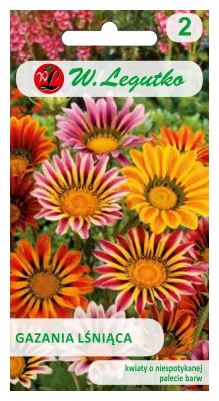 Gazania lśniąca mix 0,3g Legutko
