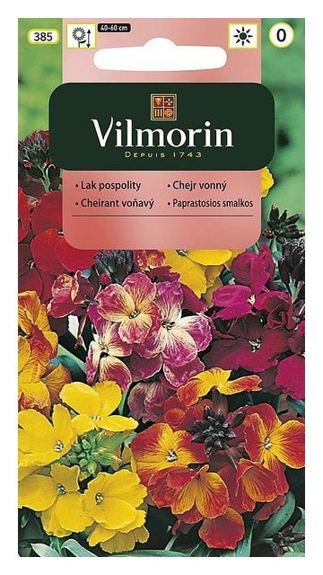 Lak pospolity mix 1g Vilmorin