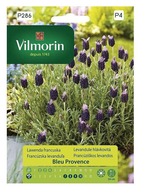 Lawenda Francuska 0,3g Vilmorin