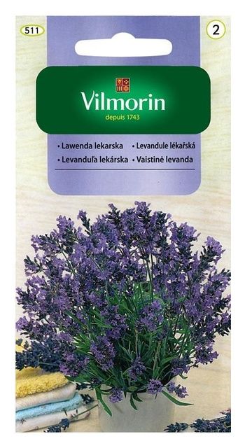 Lawenda Lekarska 0,2g Vilmorin