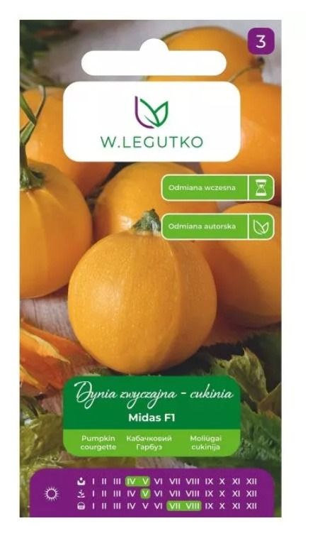 Dynia zwyczajna Midas F1