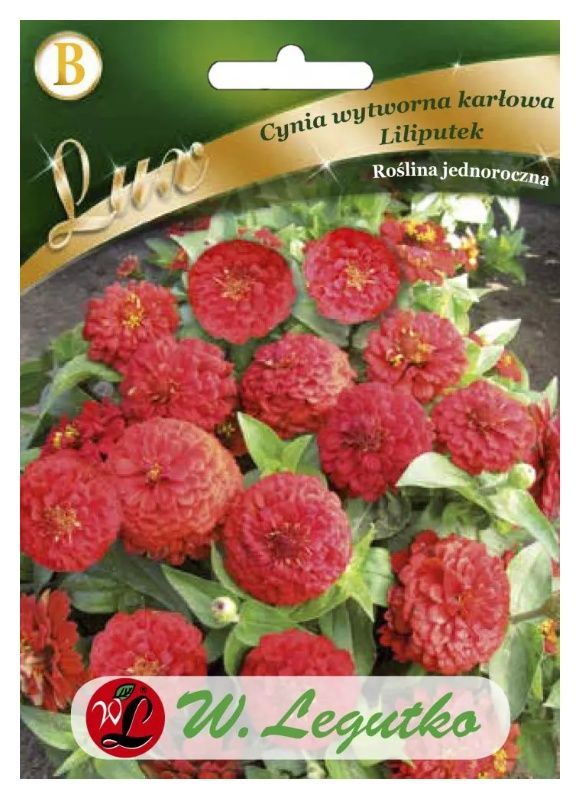 Cynia czerwona Liliputek 1g Legutko