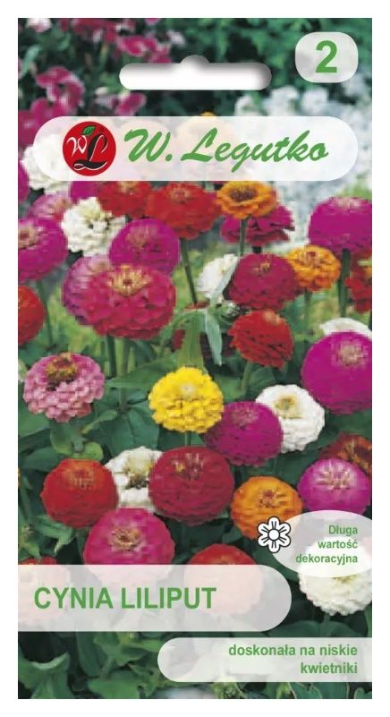 Cynia wytworna Liliput mix 1g Legutko