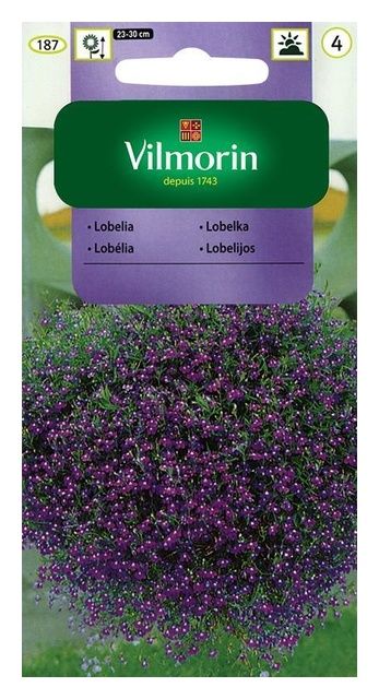 Lobelia zwisająca niebieska 0,2g Vilmorin