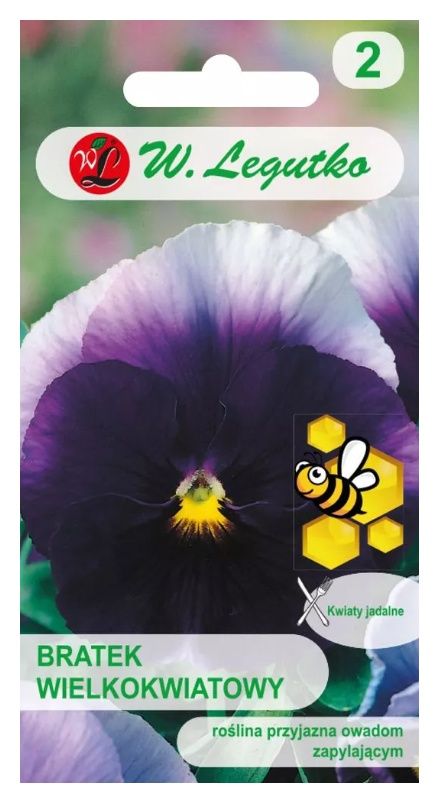 Bratek szwajcarski wielkokwiatowy Lord Beaconsfield 0,5g Legutko