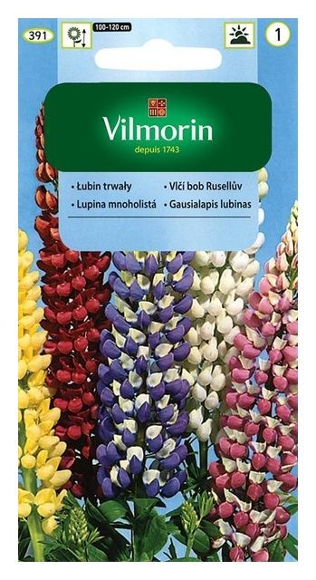 Łubin trwały 2g Vilmorin
