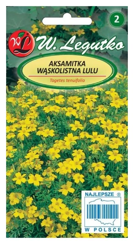 Aksamitka wąskolistna Lulu 0,3g Legutko