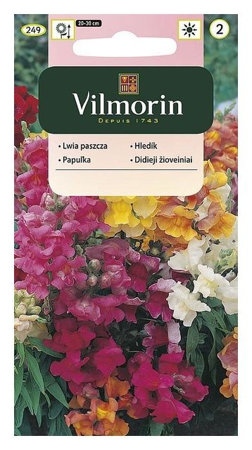 Lwia paszcza niska 1g Vilmorin