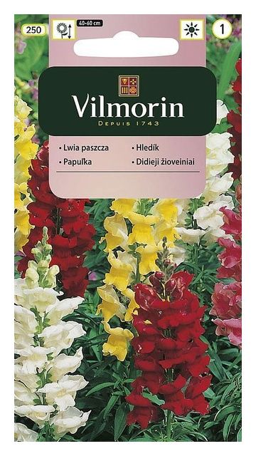 Lwia paszcza średniowysoka 1g Vilmorin