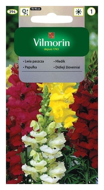 Lwia Paszcza wysoka 1g Vilmorin