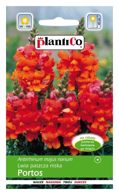 Lwia paszcza niska PORTOS 0,5g PlantiCo