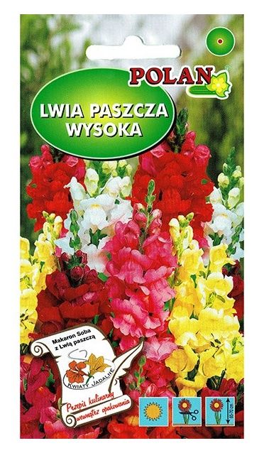 Lwia paszcza wysoka mix 0,5g Polan