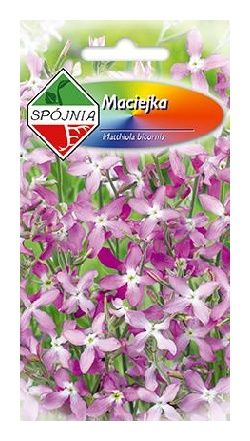 Maciejka ogrodowa 3g Spójnia