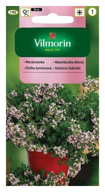 Macierzanka Zwyczajna 0,5g Vilmorin