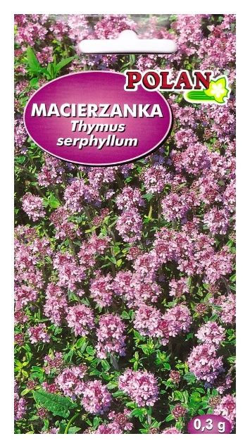 Macierzanka piaskowa 0,3g Polan