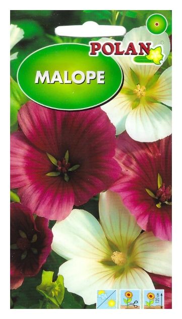 Malope mix 2g Polan