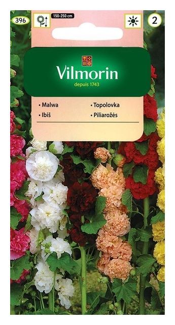 Malwa ogrodowa 1g Vilmorin