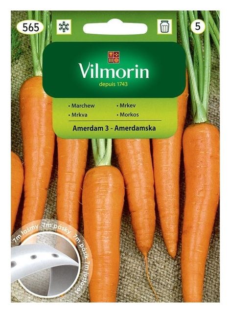 Marchew Amsterdam 3 - Amsterdamska 7m Vilmorin