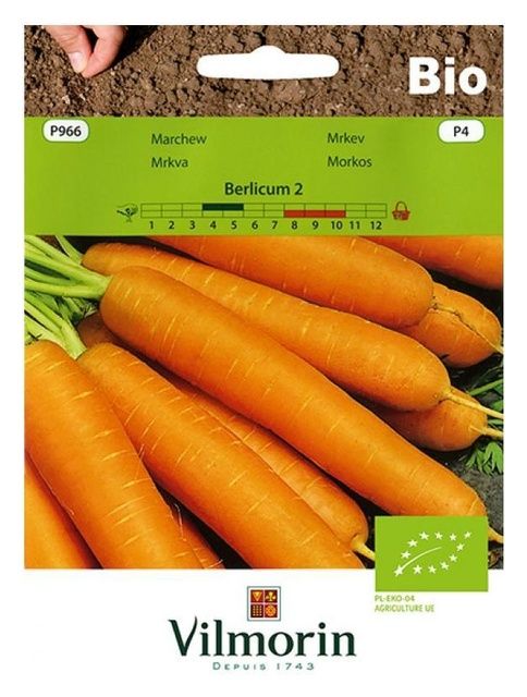Marchew Berlikum 2 5g Bio Vilmorin