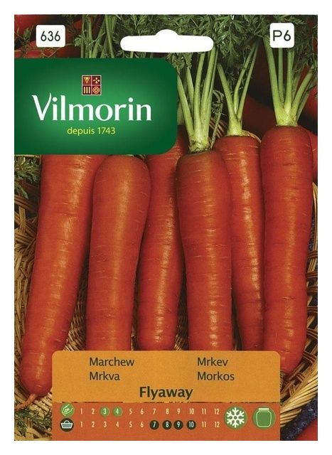 Marchew jadalna Flyaway F1 2g Vilmorin