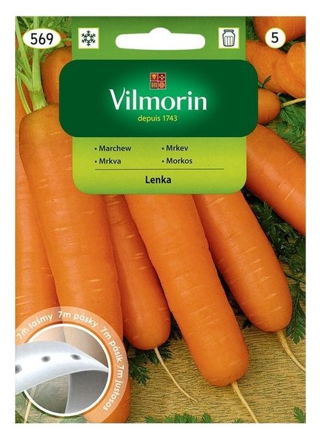 Marchew Lenka taśma 7m Vilmorin