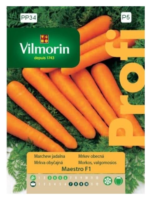 Marchew Maestro F1 2g Vilmorin 