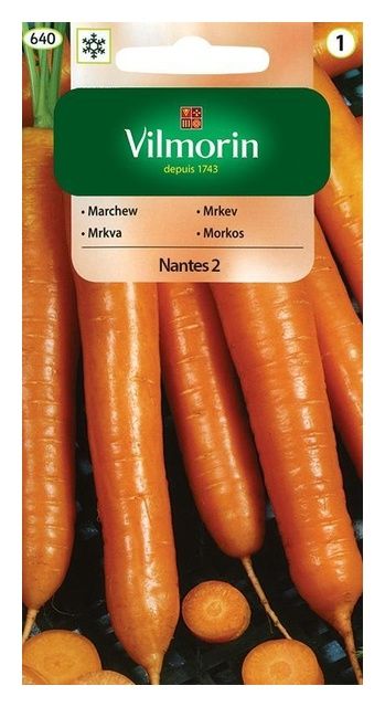 Marchew Nantes 2 5g Vilmorin