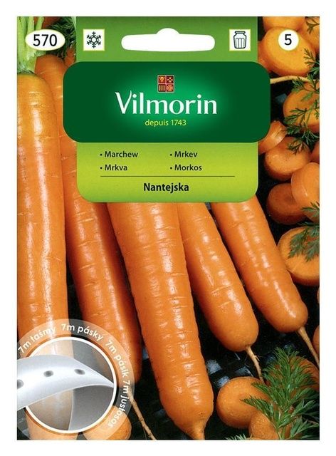 Marchew Nantes 2 taśma 7m Vilmorin