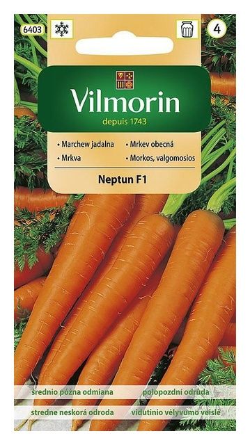 Marchew Neptun 2g Vilmorin