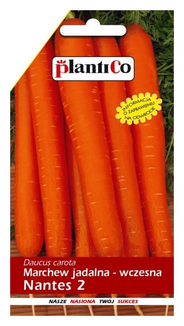 Marchew jadalna NANTES 6g PlantiCo