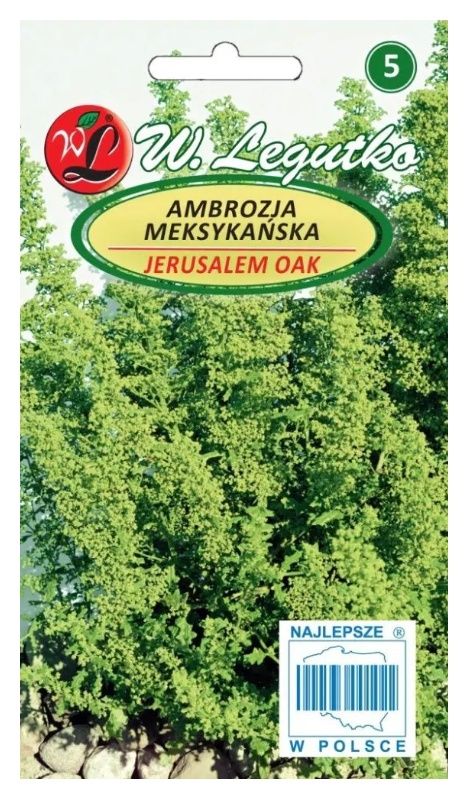 Ambrozja meksykańska 0,1g Legutko
