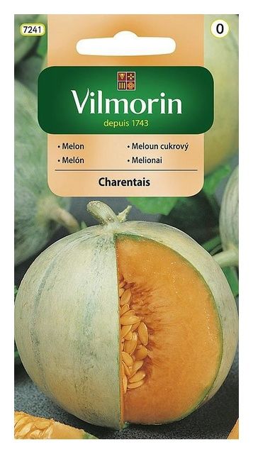 Melon Charentais 1g Vilmorin
