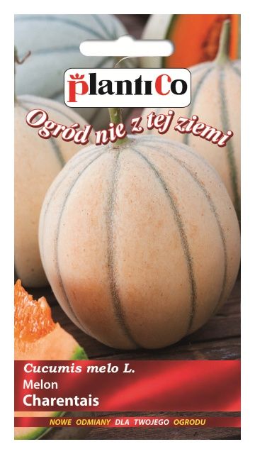 Melon CHARENTAIS 1g PlantiCo