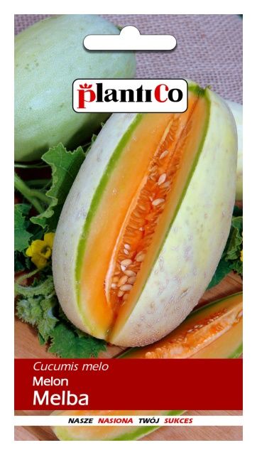 Melon MELBA 1g PlantiCo
