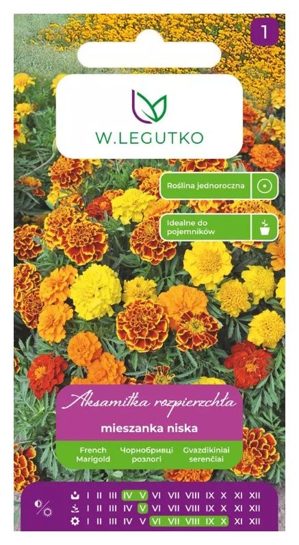 Aksamitka rozpierzchła mix 1g Legutko