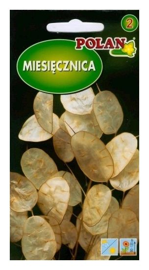 Miesięcznica 2g Polan