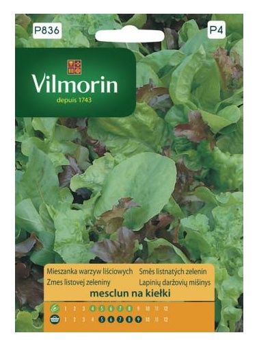 Mieszanka Mesclun 1g Vilmorin