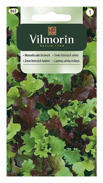 Mieszanka na kiełki Mesclun 0,5g Vilmorin