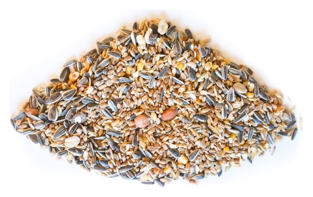 Mieszanka ziarnowa 1 kg Brapta