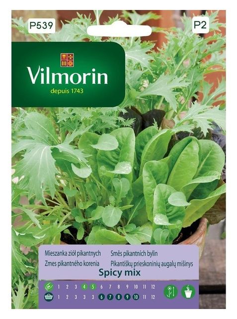 Mieszanka ziół pikantnych Spicy mix 2g Vilmorin