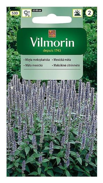 Mięta meksykańska 0,1g Vilmorin