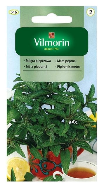 Mięta pieprzowa 0,1g Vilmorin