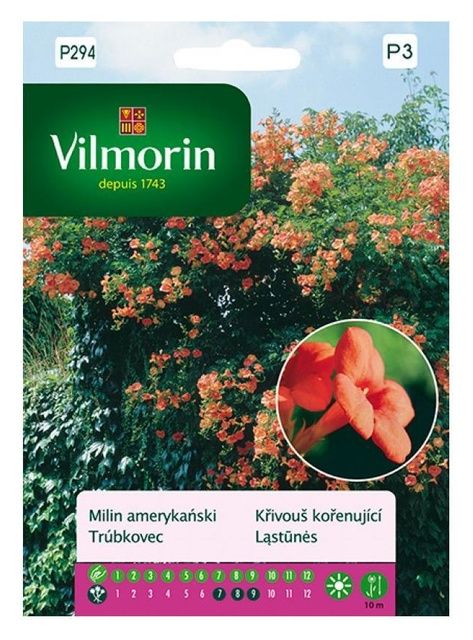 Milin amerykański 0,3g Vilmorin
