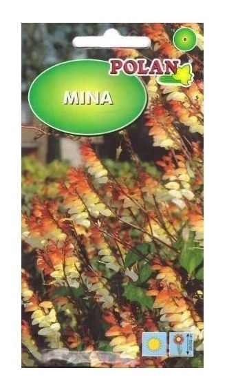 Mina 0.5g Polan
