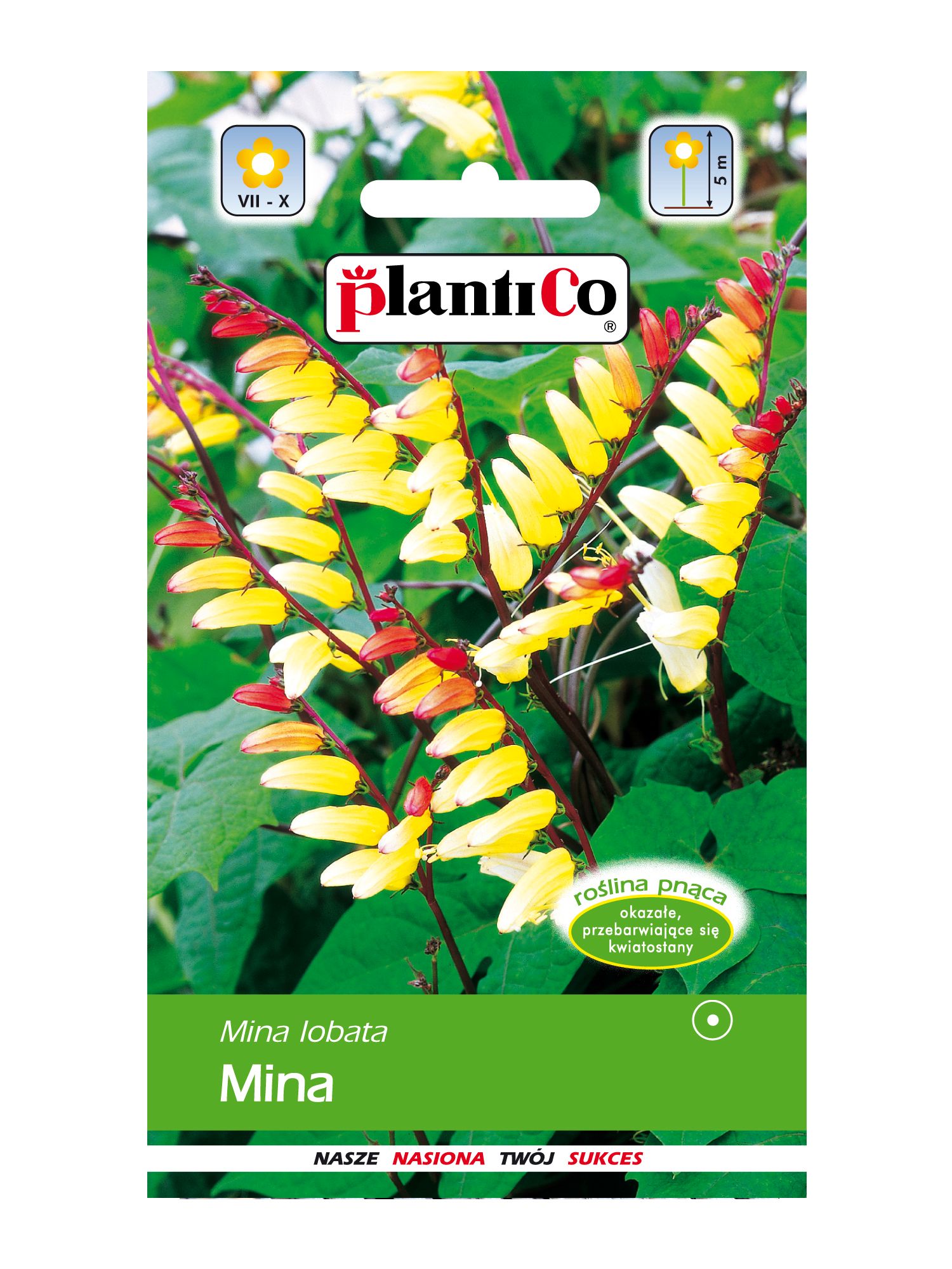 Mina 0,5g PlantiCo