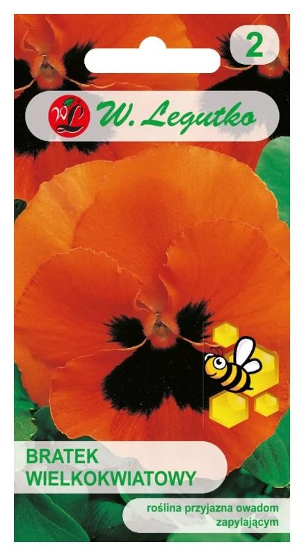 Bratek szwajcarski wielkokwiatowy Orange mit Auge 0,3g Legutko