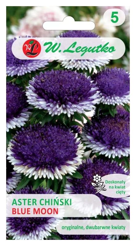Aster chiński Liliput Blue Moon 3g Legutko